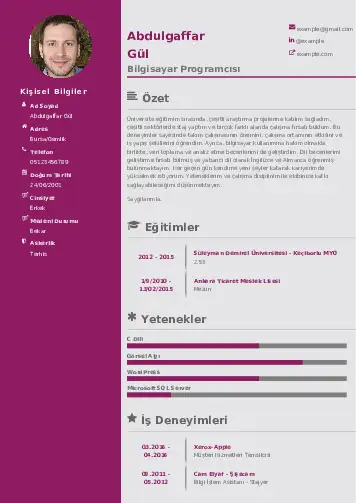 Bilgisayar Programcısı CV Örnekleri cv indir